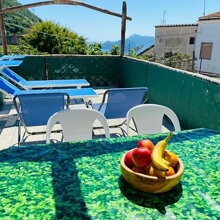 Bluebell Appartement Termini
